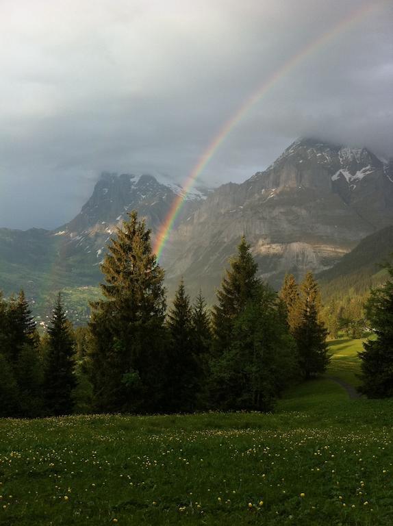 Ferienwohnung Im Gruenen Grindelwald Exterior foto