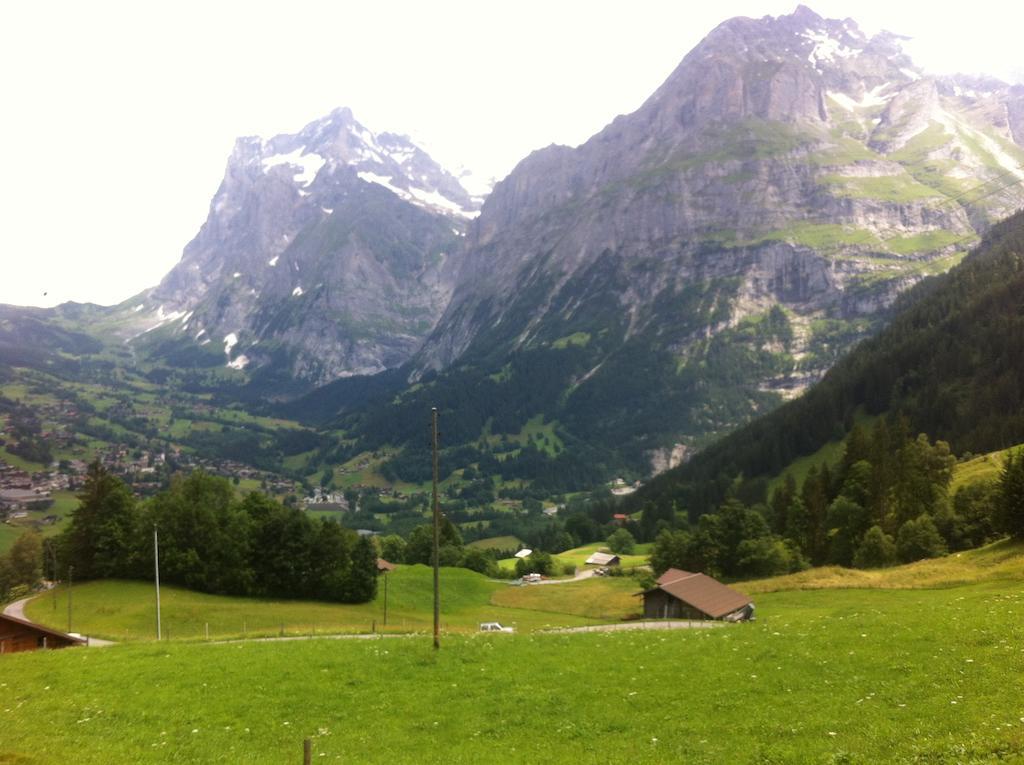 Ferienwohnung Im Gruenen Grindelwald Cameră foto