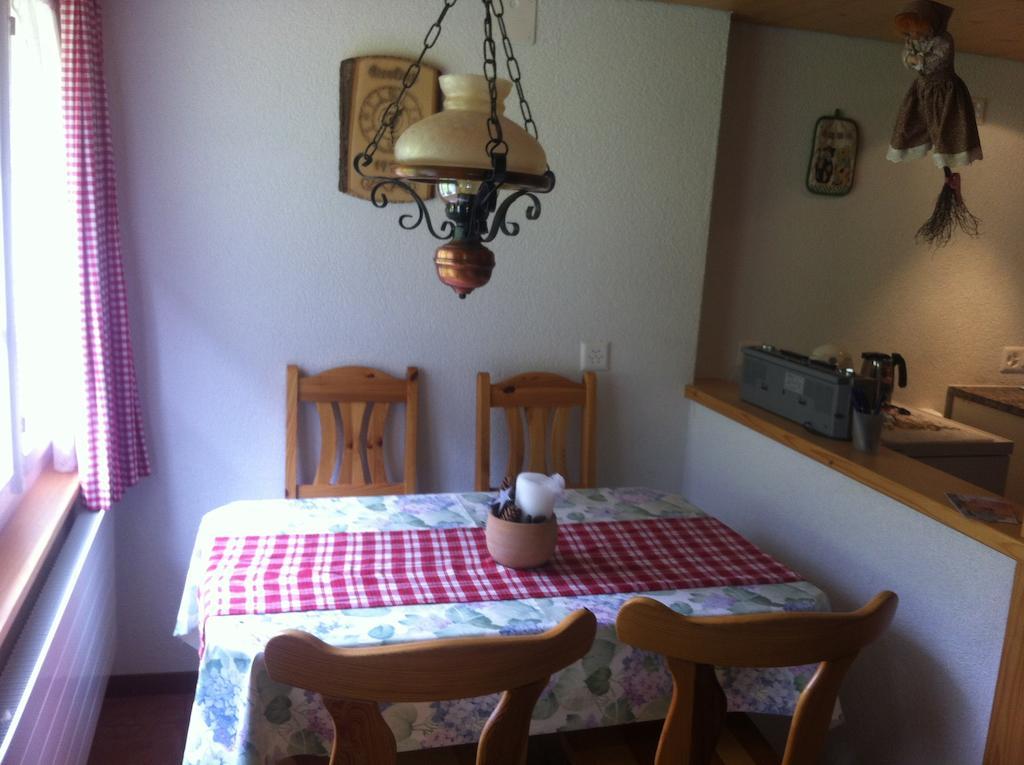 Ferienwohnung Im Gruenen Grindelwald Cameră foto