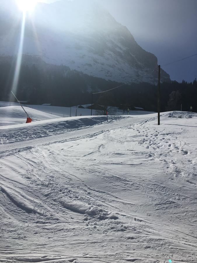 Ferienwohnung Im Gruenen Grindelwald Exterior foto
