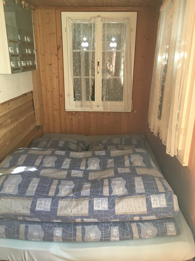 Ferienwohnung Im Gruenen Grindelwald Exterior foto