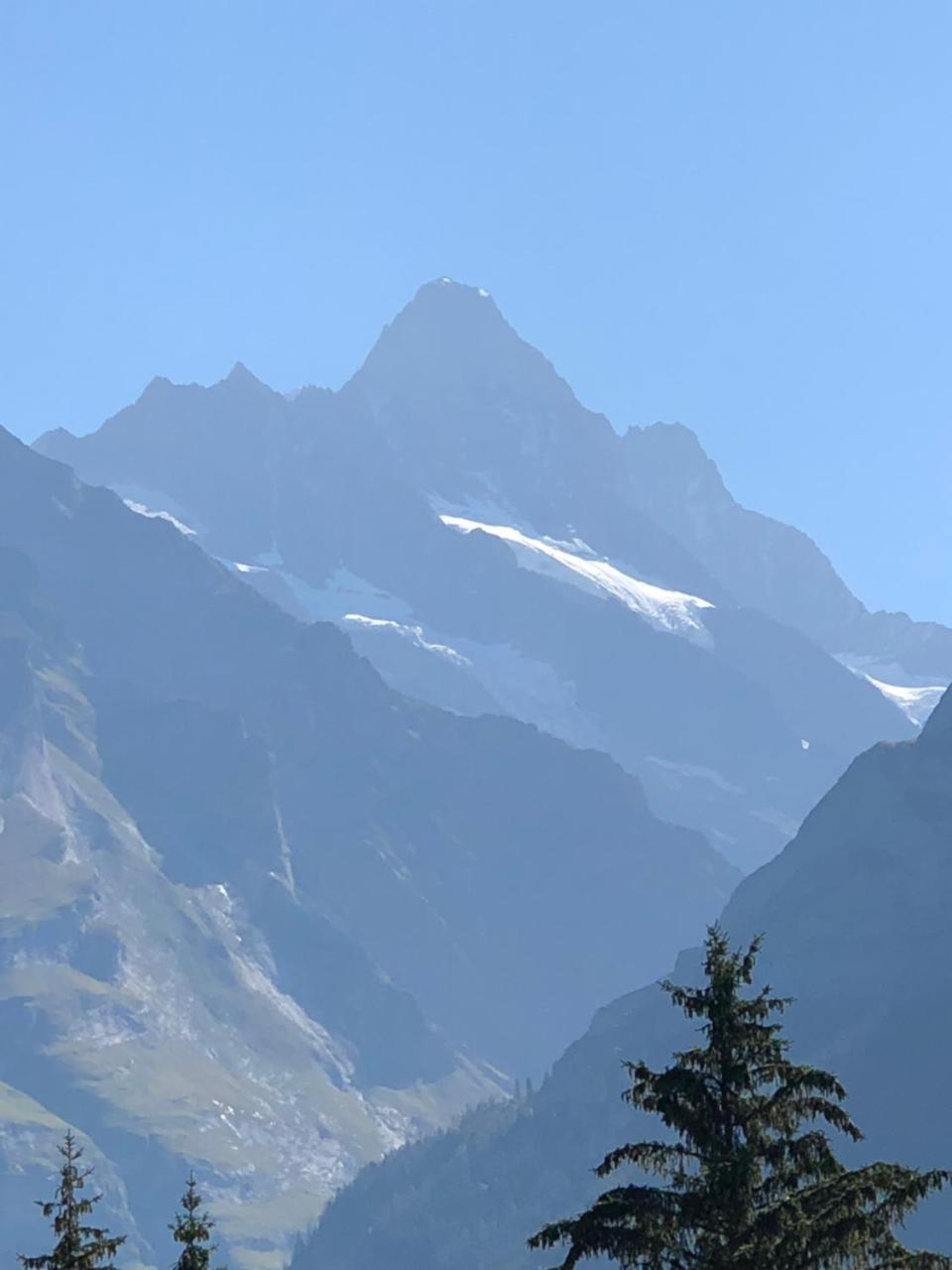 Ferienwohnung Im Gruenen Grindelwald Exterior foto