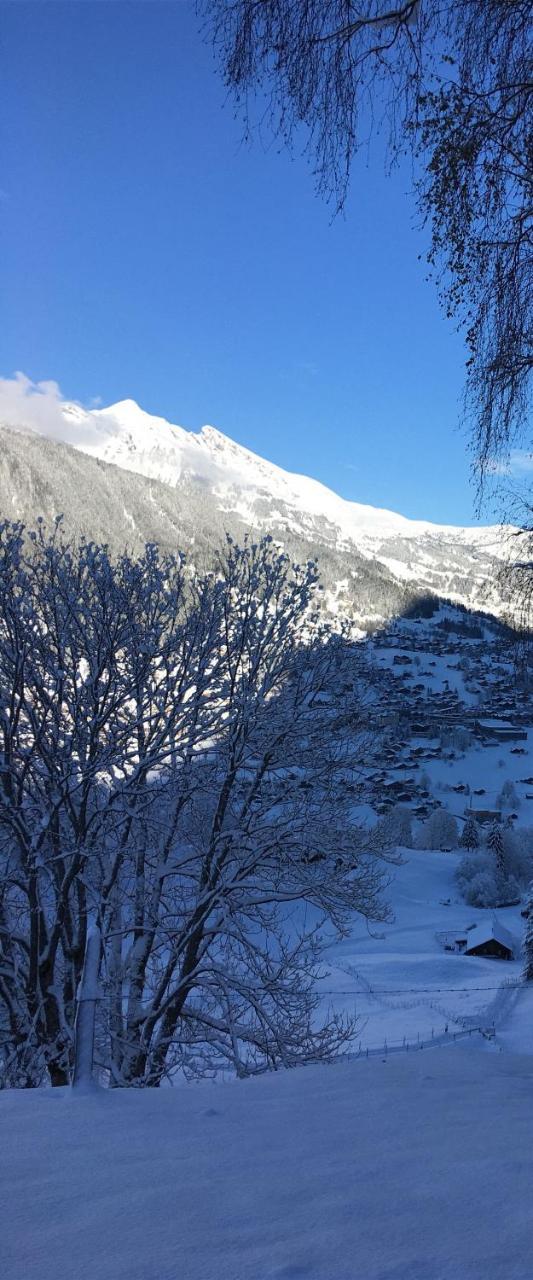 Ferienwohnung Im Gruenen Grindelwald Exterior foto